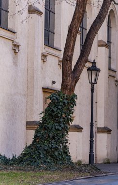 Eski Prag 'ın dar sokakları