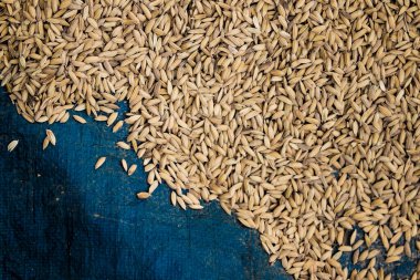 Minimalist odaklı bir mısır gevreğinin arka planı