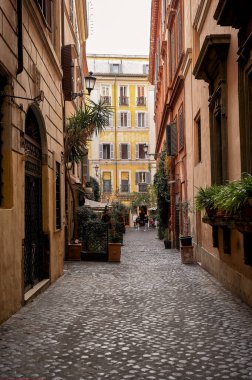 Narrow cobblestone street with colorful walls and plants