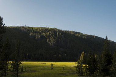 Ormanla kaplı tepeler Yellowstone 'da derin bir vadiye çıkar..