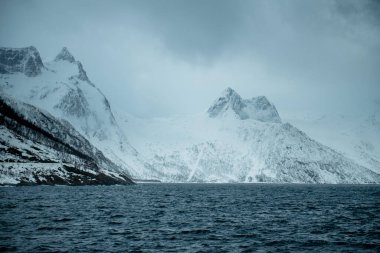 Snowy Mountains and Dark Sea Under Cloudy Sky