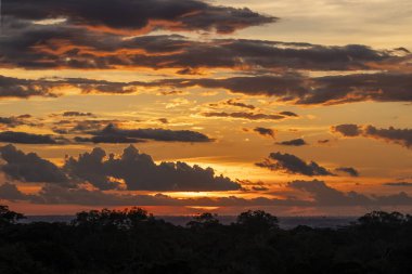 Beautiful view to amazon rainforest sunset clouds and trees in MUSA