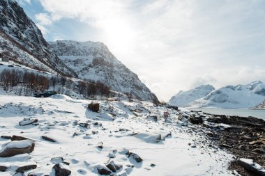 Rocky Shoreline ile Karlı Dağ Manzarası