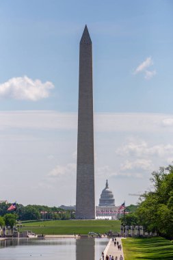 Washington anıtı, yansıtma havuzu ve yazın ABD Kongre Binası