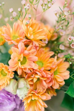 Bright orange daisies with delicate pink waxflowers in full bloom.