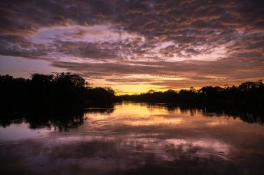 Amazon yağmur ormanlarında güzel gün doğumu bulutları, Mamirau rezervi.