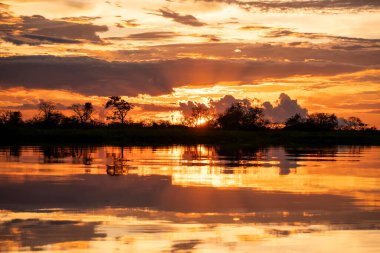 Amazon yağmur ormanlarında güzel günbatımı bulutları, Mamirau.