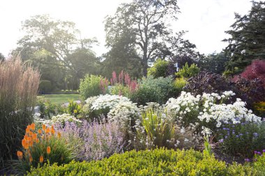 Cottage garden filled with variety of flowers and plants