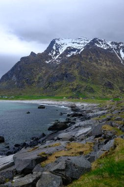 Seashore rocky coast with mountain view