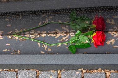 Vietnam Anıtı 'nın zeminine serilmiş bir gül.