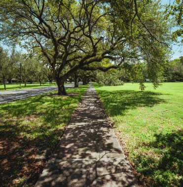 footpath in the park coral gables miami