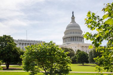 ABD Kongre Binası Ağaçların arasından geçen bir yaz gününde