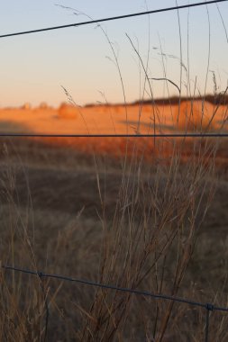 Wire fence and sunset background