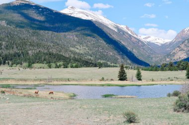 Önünde çayırı, gölü ve geyiği olan karlı dağlar..