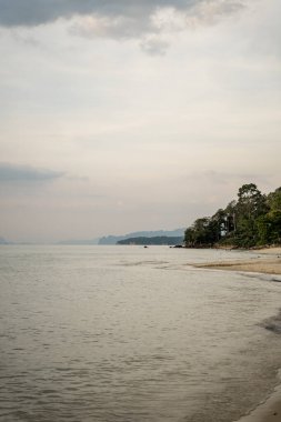 Quiet beach with trees and distant islands