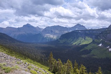 Glacier National Park in June