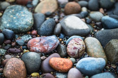 Detailed View of Colourful Bay of Fundy Stones
