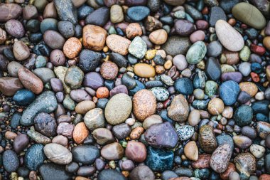 Vibrant Pebbles Along Bay of Fundy Shore
