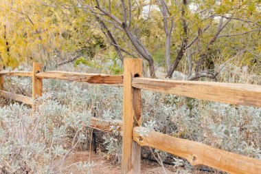 Rustic wooden fence amid desert vegetation and sunlit greenery