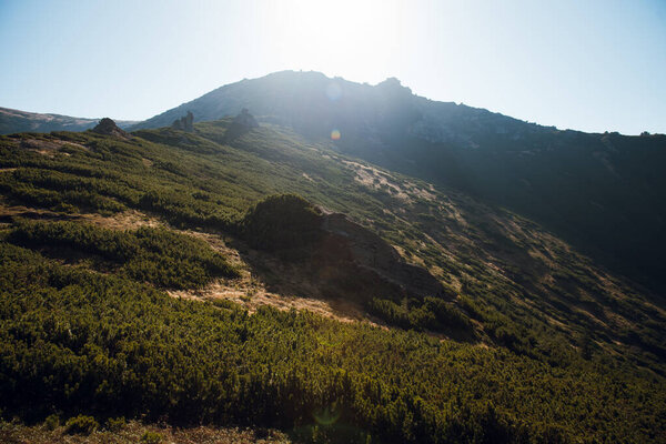 Sunlit Mountain Landscape with Rocky Peaks