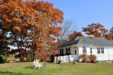 Maine 'deki büyüleyici kütüphane canlı sonbahar ağaçlarıyla çevrili.