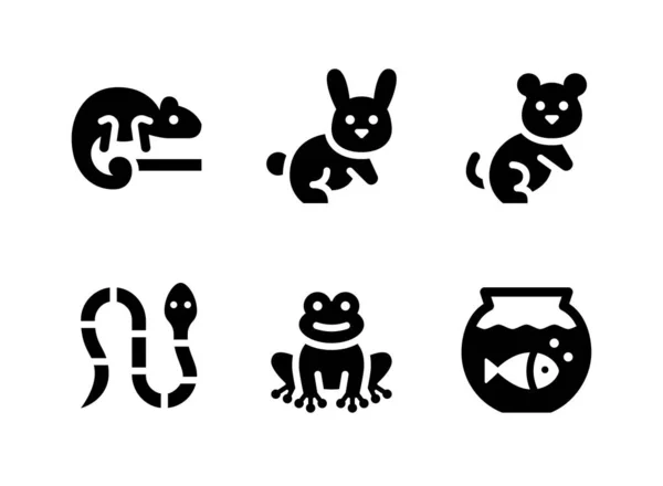 Einfaches Set Von Pets Shop Vector Solid Icons Enthält Symbole — Stockvektor