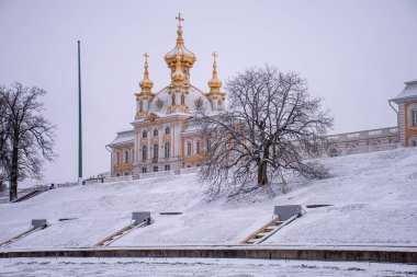 Peterhof Sarayı 'nın bahçesinden manzara