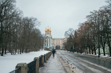 St. Petersburg, Rusya, 23 Aralık 2024, Catherine Sarayı. Rusya Çarı 'nın yaz sarayı. Kış çekimlerinde sokaktan.