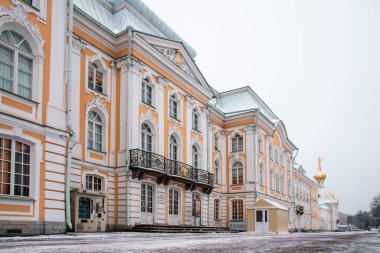 Peterhof Sarayı 'nın bahçesinden manzara