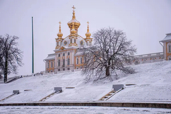 Peterhof Sarayı 'nın bahçesinden manzara