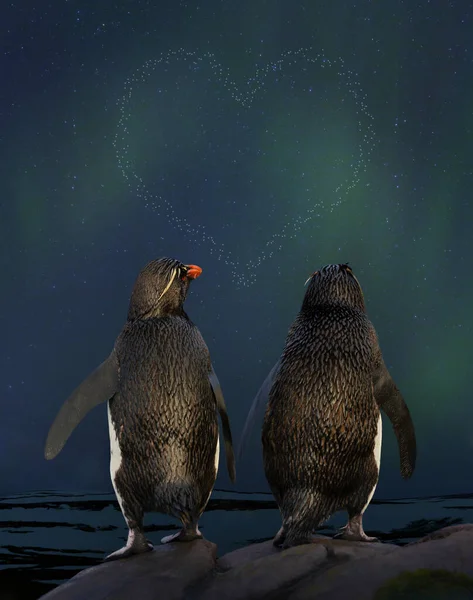 Casal Pinguins Rockhopper Assistindo Aurora Australis Estrelas Forma Coração Céu — Fotografia de Stock