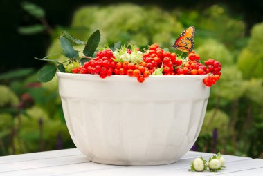 Bir kral kelebeği taze, olgun yaban mersini ve yeşil fındıkla dolu bir kasenin üzerinde dinlenir.