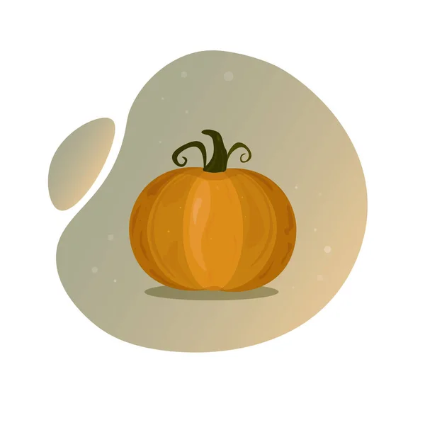 Big Ripe Pumpkin Vector Illustration Vegetables — Stock Vector