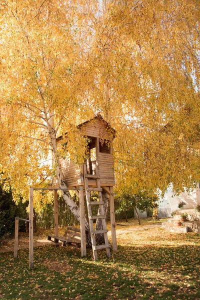 Vorgarten Baumhaus Herbst Umgeben Von Gelben Blättern Stockfoto