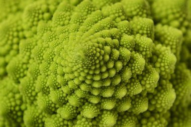 Romanesco broccoli background, texture of Roman cauliflower