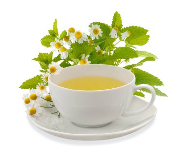 Chamomile cup with flowers and lemon balm isolated on white
