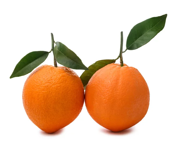 Dos Naranjas Dulces Aisladas Sobre Fondo Blanco — Foto de Stock