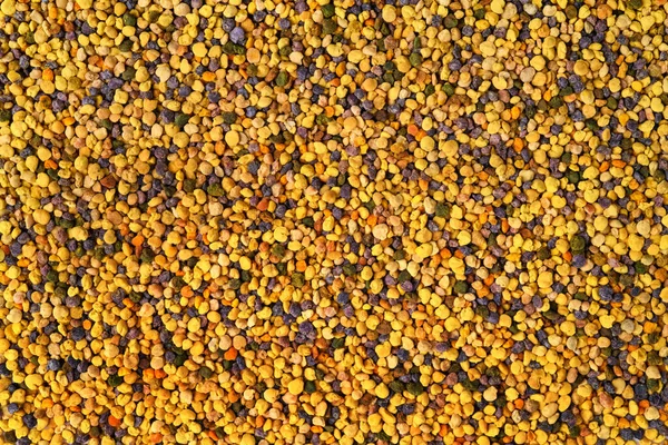 Die Textur Der Bienenpollen Hintergrund Der Pollen — Stockfoto