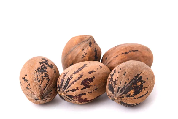 Pecan Nuts Group Isolated White Background — Stock Photo, Image