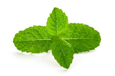 beyaz arkaplanda izole edilmiş taze nane