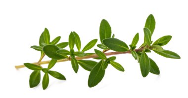 Yaz tuzu beyaz arkaplanda izole