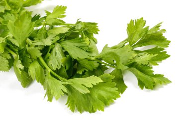 Beyaz arkaplanda izole edilmiş taze kereviz