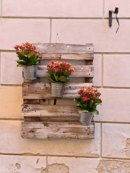 evocative close-up image of flower pots hanging on a wall