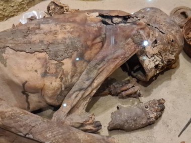 2022.12.29 Turin Museo Egizio, the oldest museum in the world entirely dedicated to the Nilotic civilization, i.e. the civilization that developed along the Nile,mummy