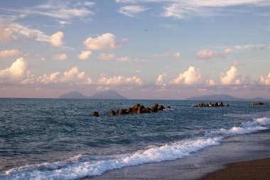 Yazın Sicilya 'da kumlu bir sahilin canlandırıcı görüntüsü. 