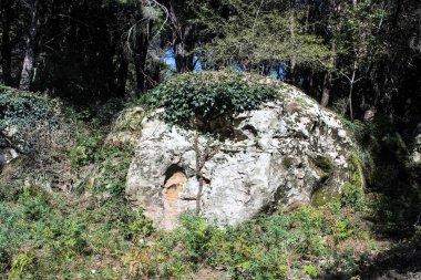 Güney İtalya 'daki Akdeniz maketinin çalılıkların canlandırıcı görüntüsü.