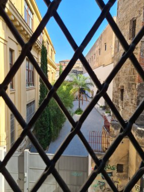 Sicilya 'daki bir pencerenin ızgaralarından bir palmiye ağacının canlandırıcı görüntüsü.