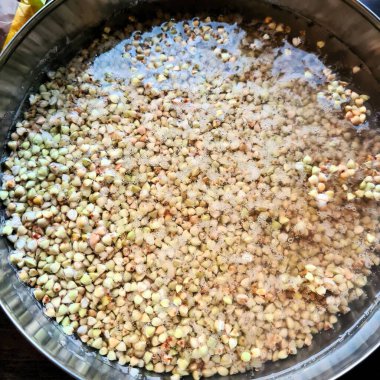 Karabuğday tanelerinin hatırlatıcı bir görüntüsü. Metal bir kapta suya batırılmış.