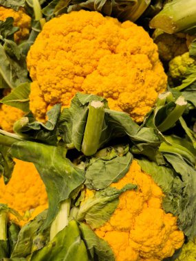 Sarı çiçek kabakulağının anımsatıcı yakın plan görüntüsü pişirilecek ve servis edilecek.