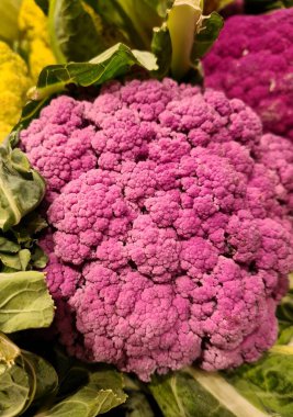 Mor çiçek kabakulağının canlandırıcı yakın plan görüntüsü pişti ve servis edilecek.